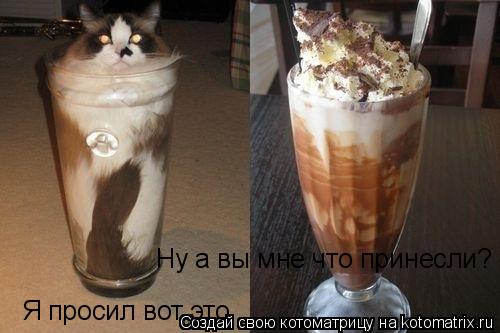 Я просил вот это Ну а вы мне что принесли?... Котоматрица: Я просил вот это Ну а вы мне что принесли?