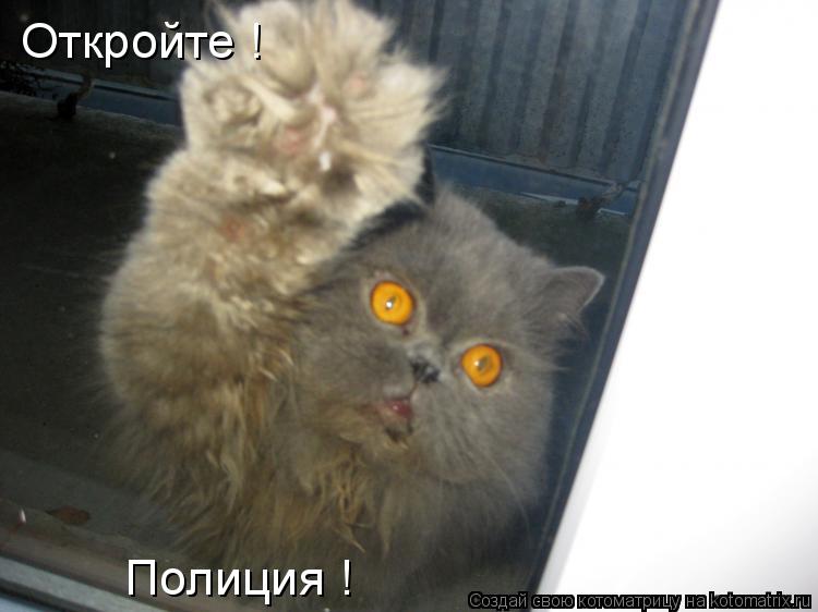 Откройте ! Полиция !... Котоматрица: Откройте ! Полиция !