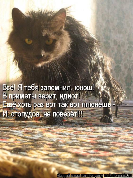 Всё! Я тебя запомнил, юнош! В приметы верит, идиот! Ещё хоть раз вот так вот плюнешь - И, стопудов, н... Котоматрица: Всё! Я тебя запомнил, юнош! В приметы верит, идиот! Ещё хоть раз вот так вот плюнешь - И, стопудов, не повезёт!!!