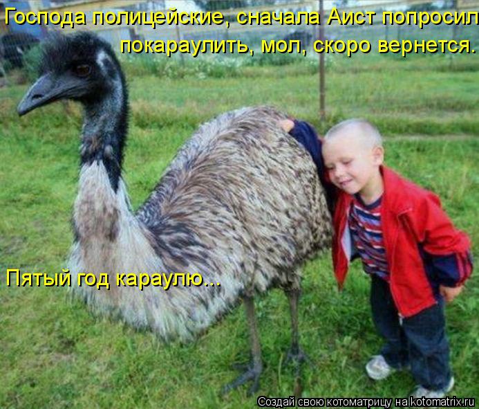 Господа полицейские, сначала Аист попросил покараулить, мол, скоро вернется. Пятый год караулю...... Котоматрица: Господа полицейские, сначала Аист попросил покараулить, мол, скоро вернется. Пятый год караулю...