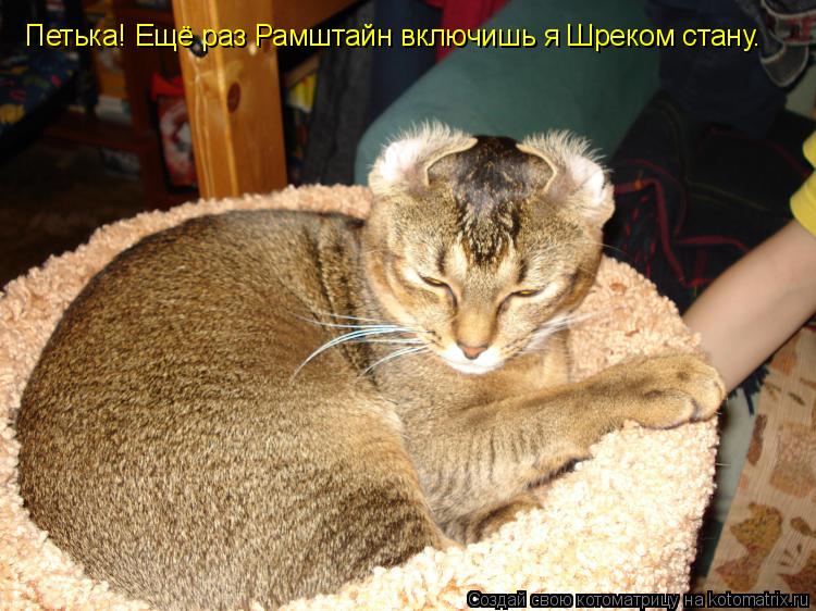 Петька! Ещё раз Рамштайн включишь я Шреком стану.... Котоматрица: Петька! Ещё раз Рамштайн включишь я Шреком стану.