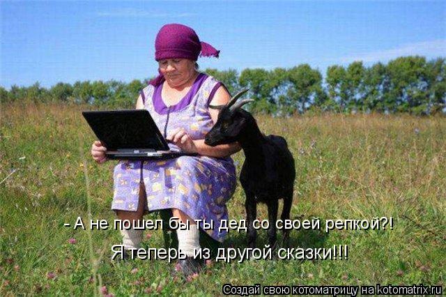 - А не пошел бы ты дед со своей репкой?! Я теперь из другой сказки!!!... Котоматрица: - А не пошел бы ты дед со своей репкой?! Я теперь из другой сказки!!!