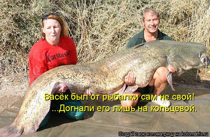 Васёк был от рыбалки сам не свой! ...Догнали его лишь на кольцевой.... Котоматрица: Васёк был от рыбалки сам не свой! ...Догнали его лишь на кольцевой.