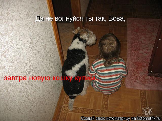 Котоматрица: Да не волнуйся ты так, Вова, завтра новую кошку купим...