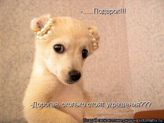 Котоматрица: -Дорогая, сколько стоят украшения??? -......Подарок!!!
