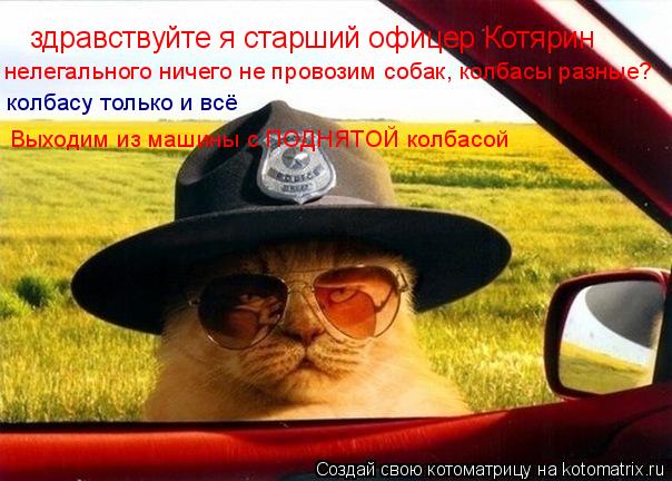 Котоматрица: здравствуйте я старший офицер Котярин нелегального ничего не провозим собак, колбасы разные? колбасу только и всё Выходим из машины с ПОДН