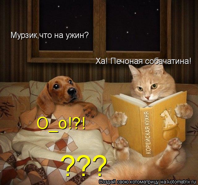 Мурзик,что на ужин? Ха! Печоная собачатина! О_о!?! ???... Котоматрица: Мурзик,что на ужин? Ха! Печоная собачатина! О_о!?! ???
