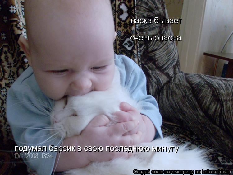 Котоматрица: ласка бывает очень опасна подумал барсик в свою последнюю минуту