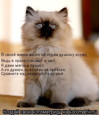 Котоматрица: В своей жизни место не отдам дракону злому, Ведь я прелестен,мыт и чист, Я даже мягок и пушист, А он дракон,он злобен,не приятен, Сравните нас 