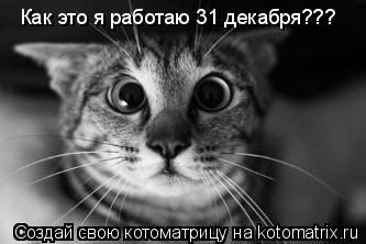 Котоматрица: Как это я работаю 31 декабря???
