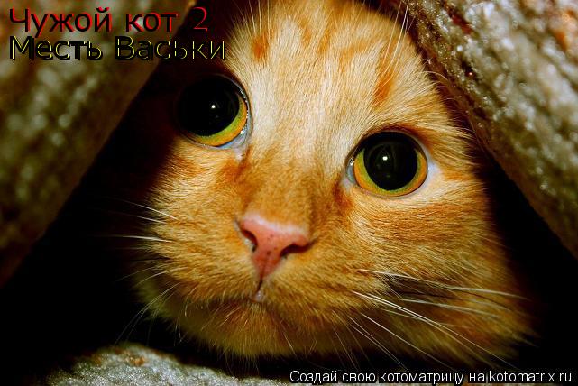Котоматрица: Чужой кот 2  Чужой кот 2  Месть Васьки Месть Васьки