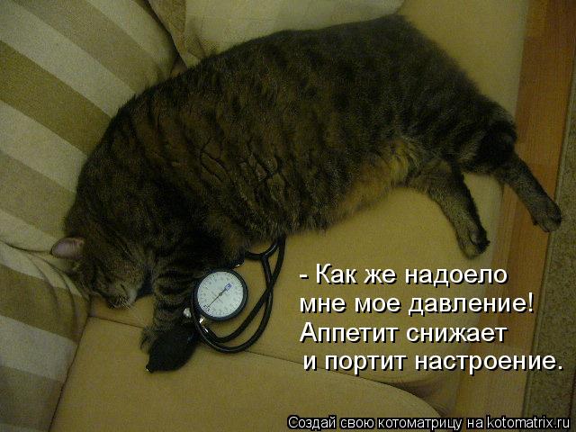 - Как же надоело мне мое давление! Аппетит снижает и портит настроение.... Котоматрица: - Как же надоело мне мое давление! Аппетит снижает и портит настроение.