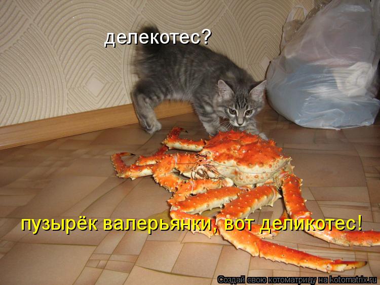 Котоматрица: делекотес? пузырёк валерьянки, вот деликотес!