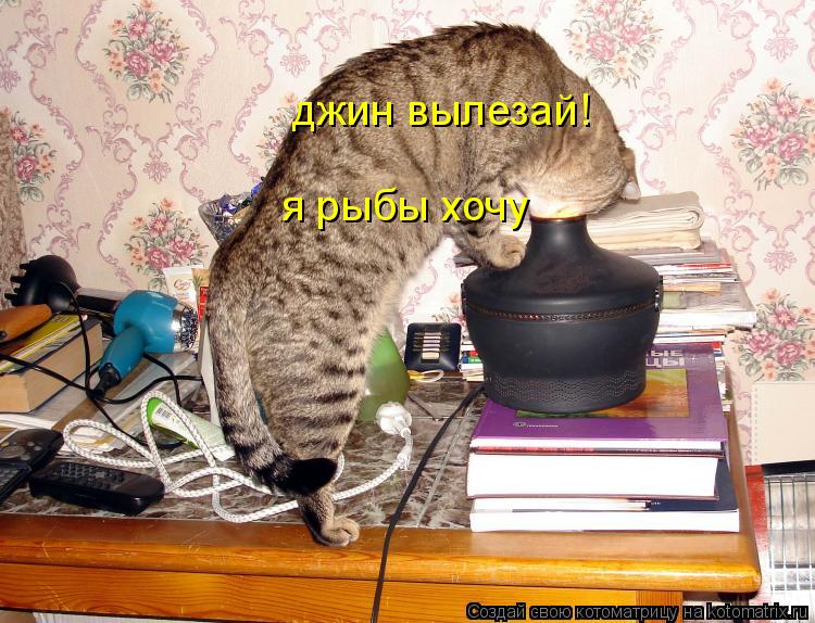 Котоматрица: джин вылезай!  я рыбы хочу