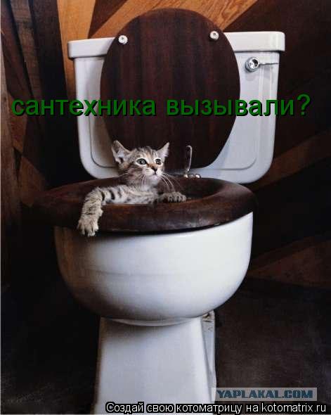 Котоматрица: сантехника вызывали?