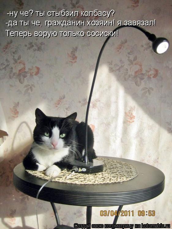 Котоматрица: -ну че? ты стыбзил колбасу? -да ты че, гражданин хозяин! я завязал! Теперь ворую только сосиски!