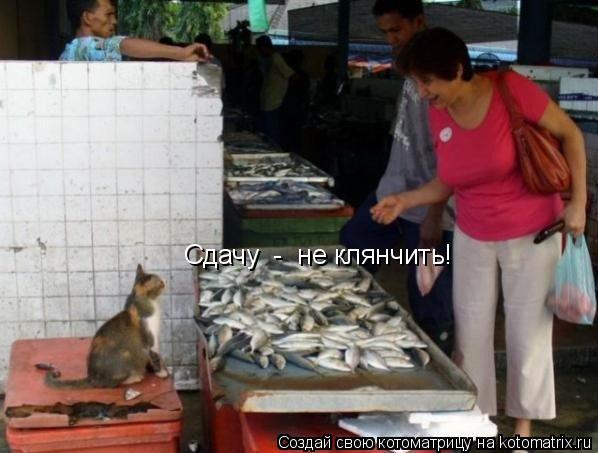 Котоматрица: Сдачу  -  не клянчить!