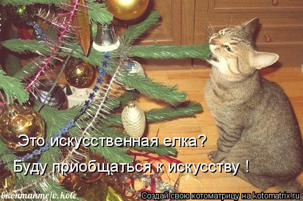 Котоматрица: Это искусственная елка?  Буду приобщаться к искусству !