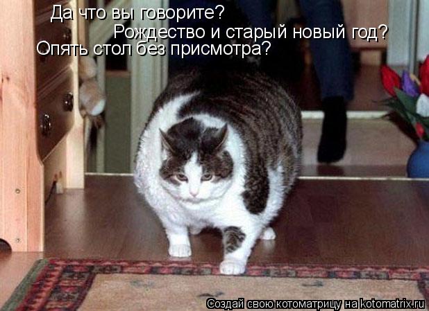 Котоматрица: Да что вы говорите? Рождество и старый новый год? Опять стол без присмотра?