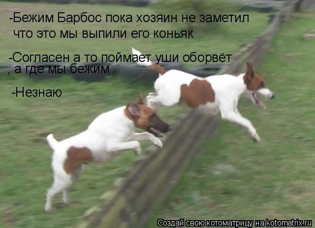 Котоматрица: -Бежим Барбос пока хозяин не заметил  что это мы выпили его коньяк  -Согласен а то поймает уши оборвёт , а где мы бежим -Незнаю