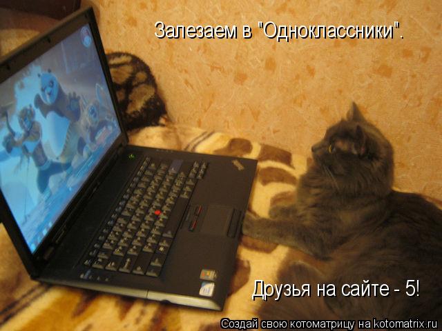 Котоматрица: Залезаем в "Одноклассники". Друзья на сайте - 5!