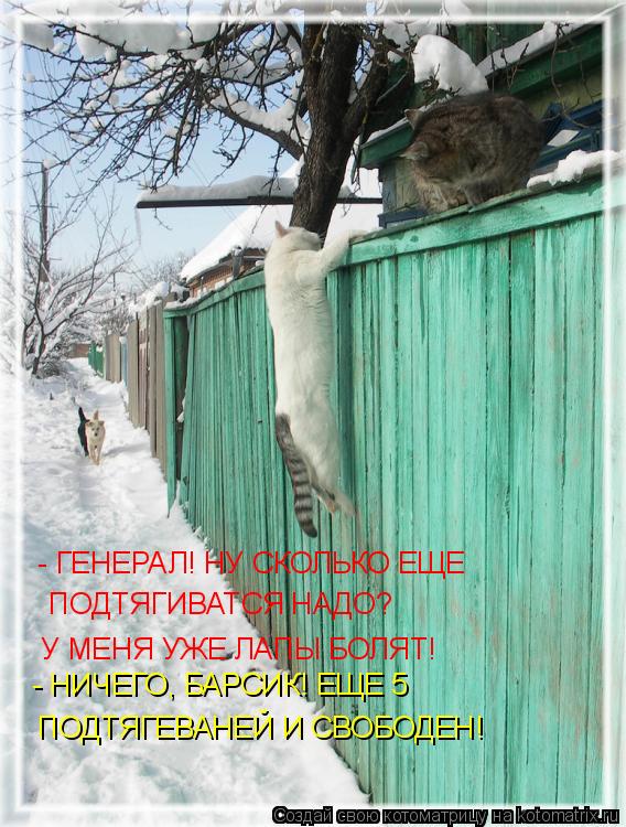 Котоматрица: - ГЕНЕРАЛ! НУ СКОЛЬКО ЕЩЕ  ПОДТЯГИВАТСЯ НАДО?  У МЕНЯ УЖЕ ЛАПЫ БОЛЯТ! - НИЧЕГО, БАРСИК! ЕЩЕ 5  ПОДТЯГЕВАНЕЙ И СВОБОДЕН!