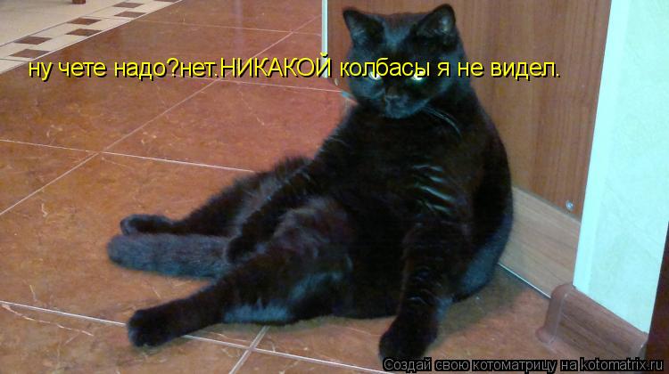 Котоматрица: ну чете надо?нет.НИКАКОЙ колбасы я не видел.