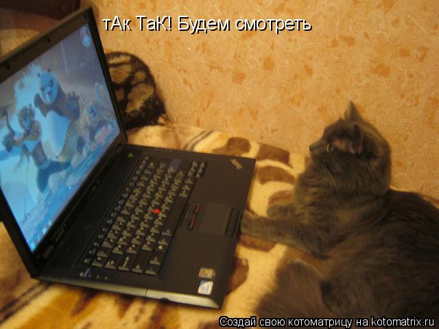 Котоматрица: тАк ТаК! Будем смотреть