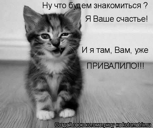 Котоматрица: Ну что будем знакомиться ? Я Ваше счастье! И я там, Вам, уже ПРИВАЛИЛО!!!