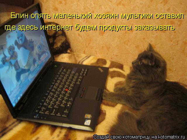 Блин опять маленький хозяин мультики оставил где здесь интернет будем продукты заказывать... Котоматрица: Блин опять маленький хозяин мультики оставил где здесь интернет будем продукты заказывать