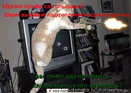 Мурзик приём как слышыш? слышу хорошо что случилось? Шарик вызывает подкрепление я один не протину ва... Котоматрица: Мурзик приём как слышыш? слышу хорошо что случилось? Шарик вызывает подкрепление я один не протину вас понял иду на помощь вас понял иду на