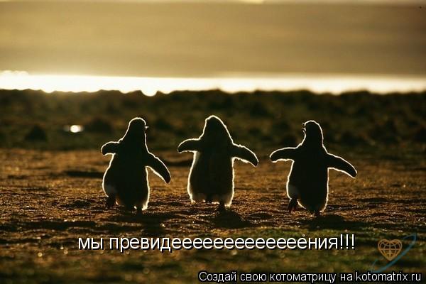 мы превидееееееееееееения!!!... Котоматрица: мы превидееееееееееееения!!!