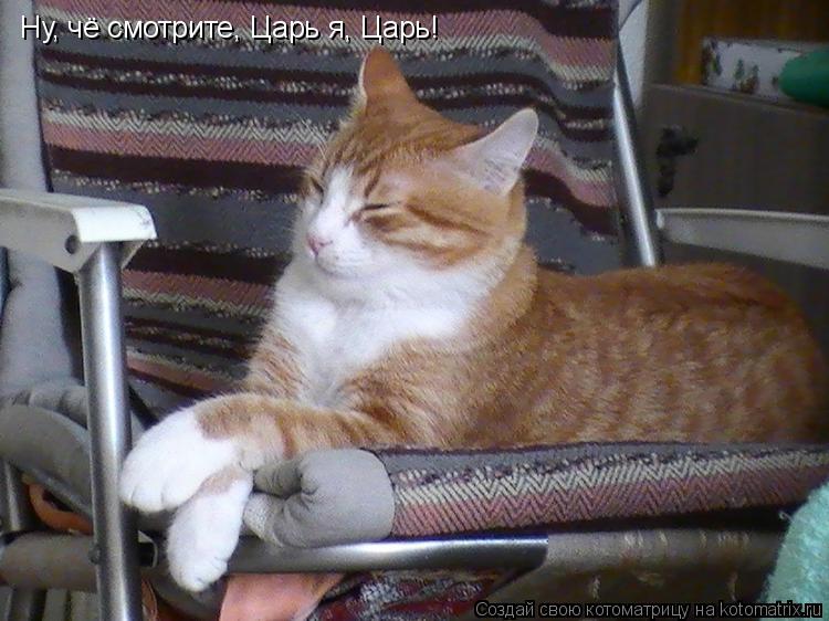 Котоматрица: Ну, чё смотрите, Царь я, Царь!