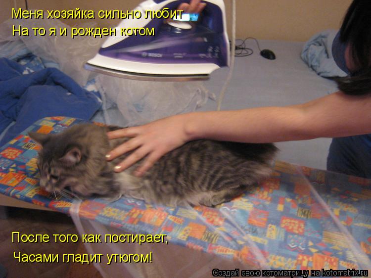 Котоматрица: Меня хозяйка сильно любит На то я и рожден котом После того как постирает, Часами гладит утюгом!