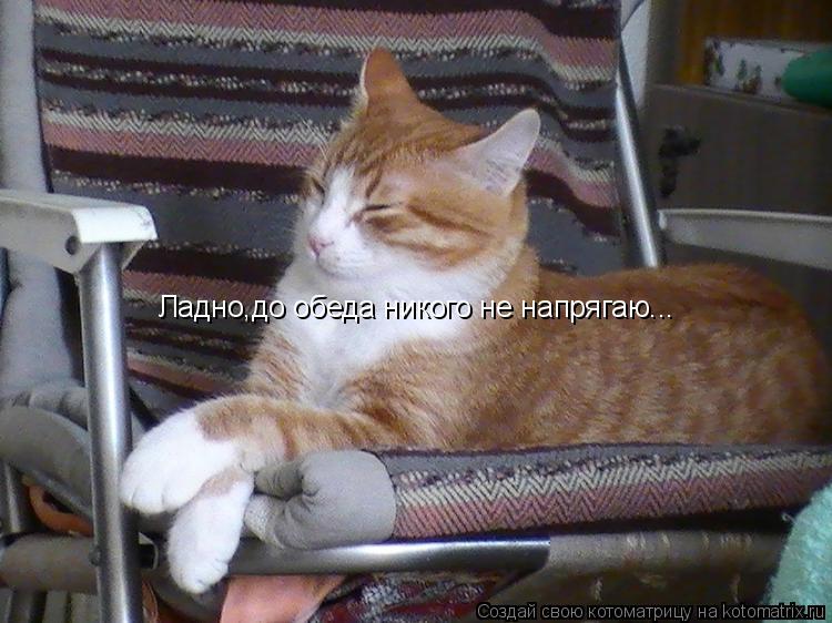 Котоматрица: Ладно,до обеда никого не напрягаю...