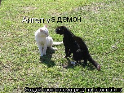 Котоматрица: Ангел v s демон