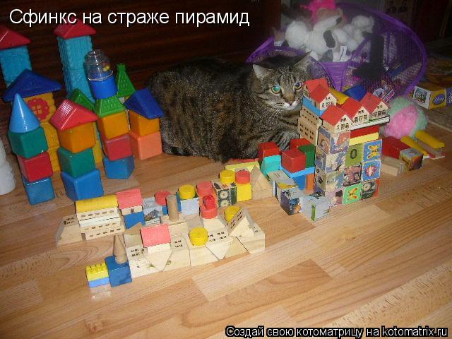 Котоматрица: Сфинкс на страже пирамид