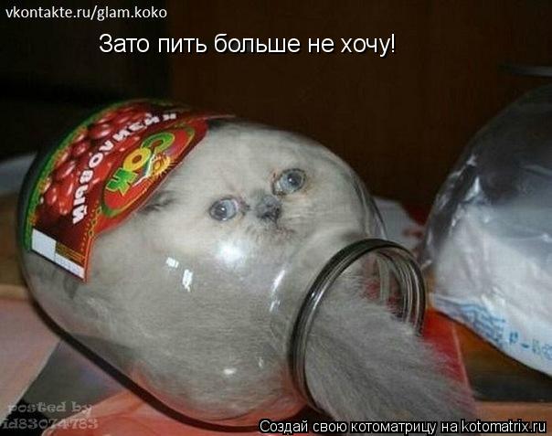Котоматрица: Зато пить больше не хочу!