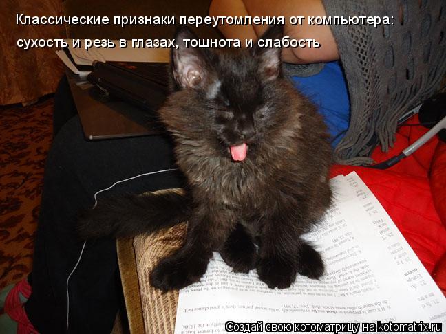 Котоматрица: Классические признаки переутомления от компьютера: сухость и резь в глазах, тошнота и слабость