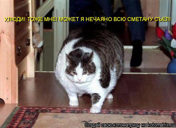 Котоматрица: У,ЛЮДИ! ТОЖЕ МНЕ! МОЖЕТ Я НЕЧАЯНО ВСЮ СМЕТАНУ СЪЕЛ!