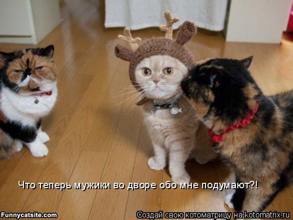 Котоматрица: Что теперь мужики во дворе обо мне подумают?!