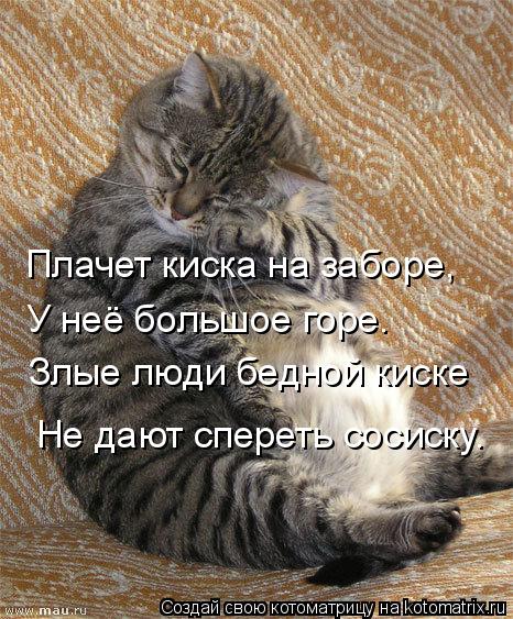 Плачет киска на заборе, У неё большое горе. Злые люди бедной киске Не дают спереть сосиску.... Котоматрица: Плачет киска на заборе, У неё большое горе. Злые люди бедной киске Не дают спереть сосиску.
