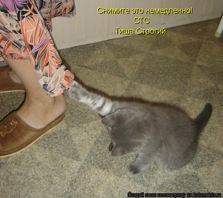 Котоматрица: «Снимите это немедленно!» СТС Тиша Строгий