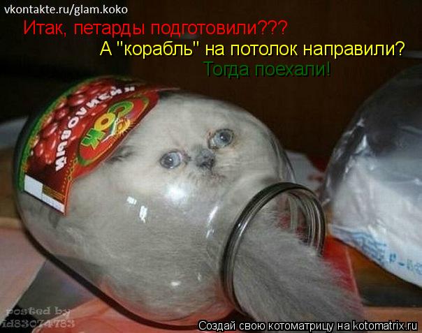 Итак, петарды подготовили??? А "корабль" на потолок направили? Тогда поехали!... Котоматрица: Итак, петарды подготовили??? А "корабль" на потолок направили? Тогда поехали!