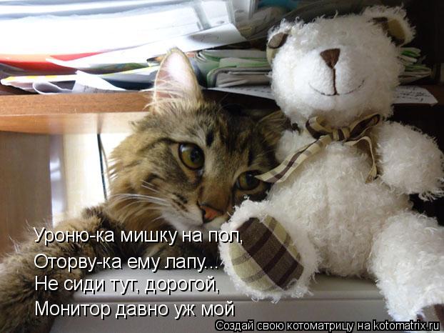 Котоматрица: Уроню-ка мишку на пол, Оторву-ка ему лапу... Не сиди тут, дорогой, Монитор давно уж мой