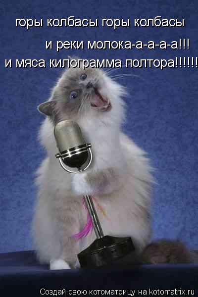 Котоматрица: горы колбасы горы колбасы горы колбасы горы колбасы и реки молока-а-а-а-а!!! и мяса килограмма полтора!!!!!!