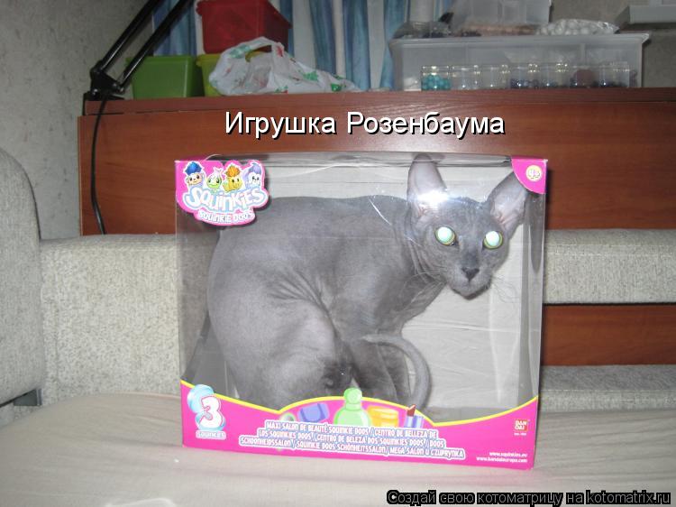 Котоматрица: Игрушка Розенбаума