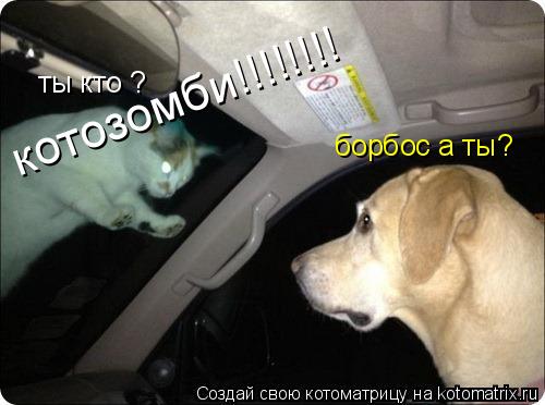 Котоматрица: ты кто ? борбос а ты? котозомби!!!!!!!!