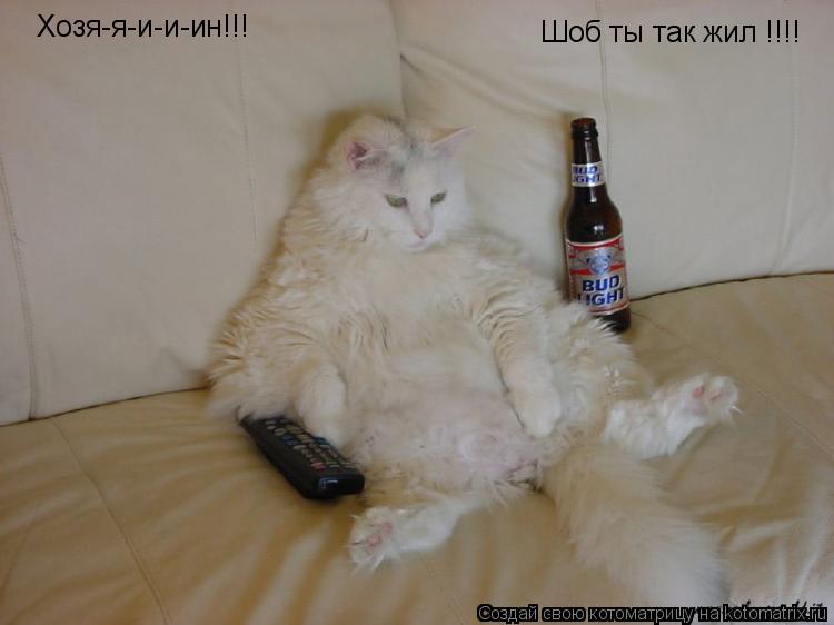 Котоматрица: Хозя-я-и-и-ин!!! Шоб ты так жил !!!!