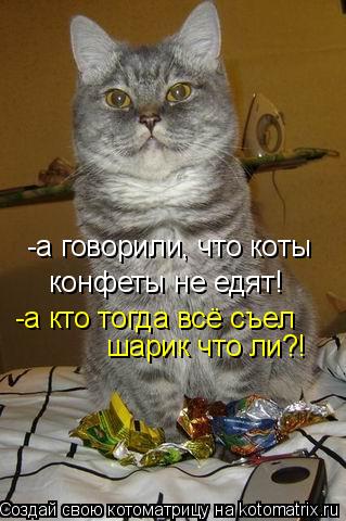 Котоматрица: -а говорили, что коты конфеты не едят! -а кто тогда всё съел  шарик что ли?!